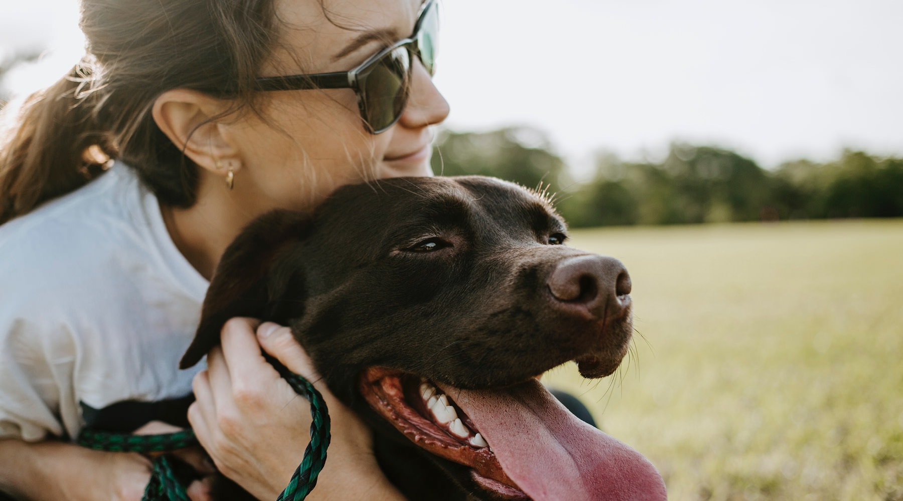 Experience Luxury and Flexibility woman holding a dog in a park